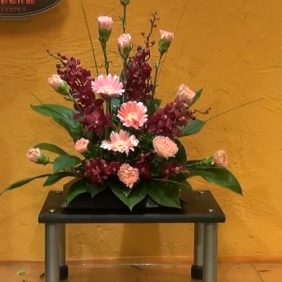 Meet your Posher: Lolli P - Picture 1 of 1